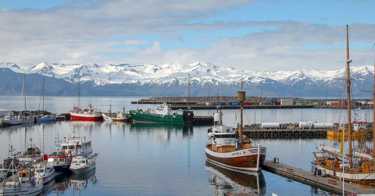 Rejse til Island - Billige tog-, bus- og flybilletter